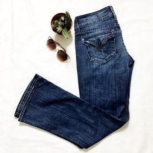 Hudson Flare Jeans